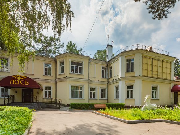 Гостиница Лось