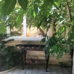 Мангал во дворе