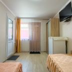 в номере: холодильник, телевизор, кондиционер, душ и туалет