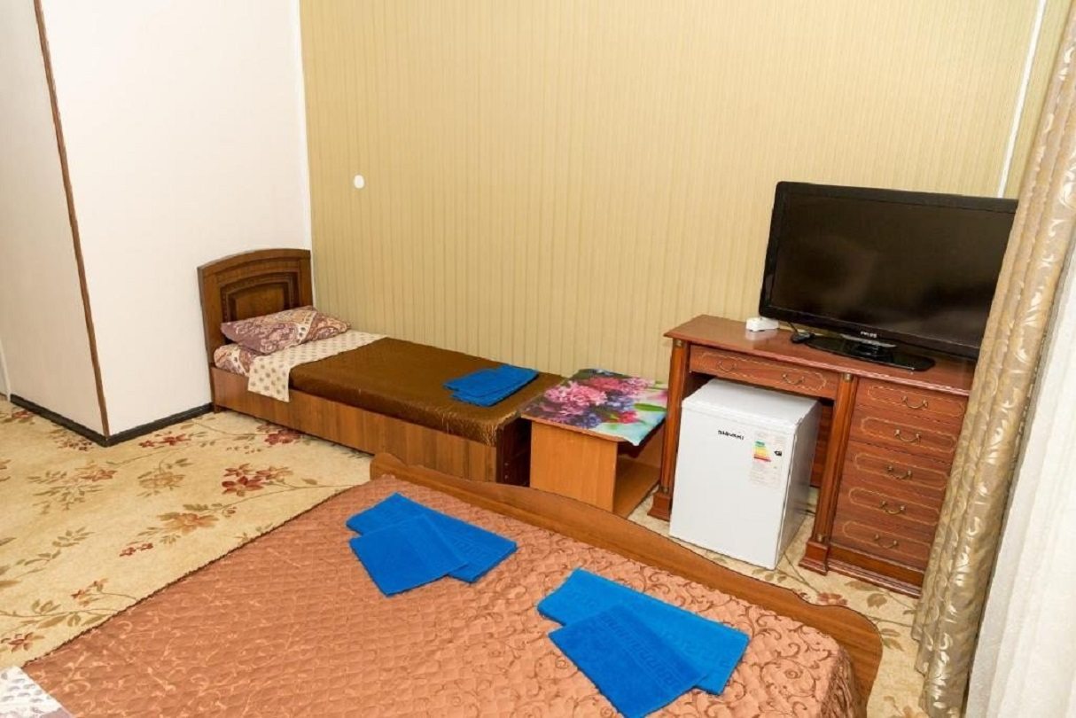 в номере: холодильник, телевизор, кондиционер, душ и туалет