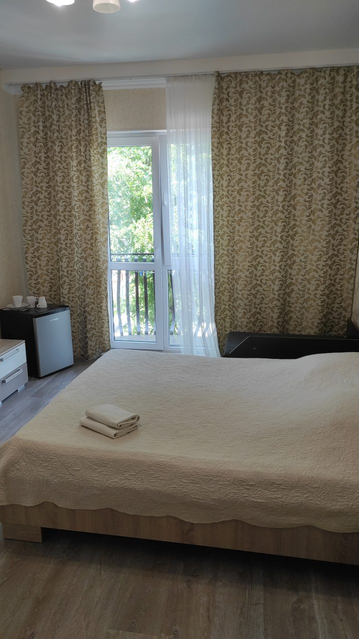 в номере: холодильник, телевизор, кондиционер, душ и туалет