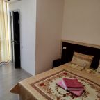 в номере: холодильник, телевизор, кондиционер, душ и туалет