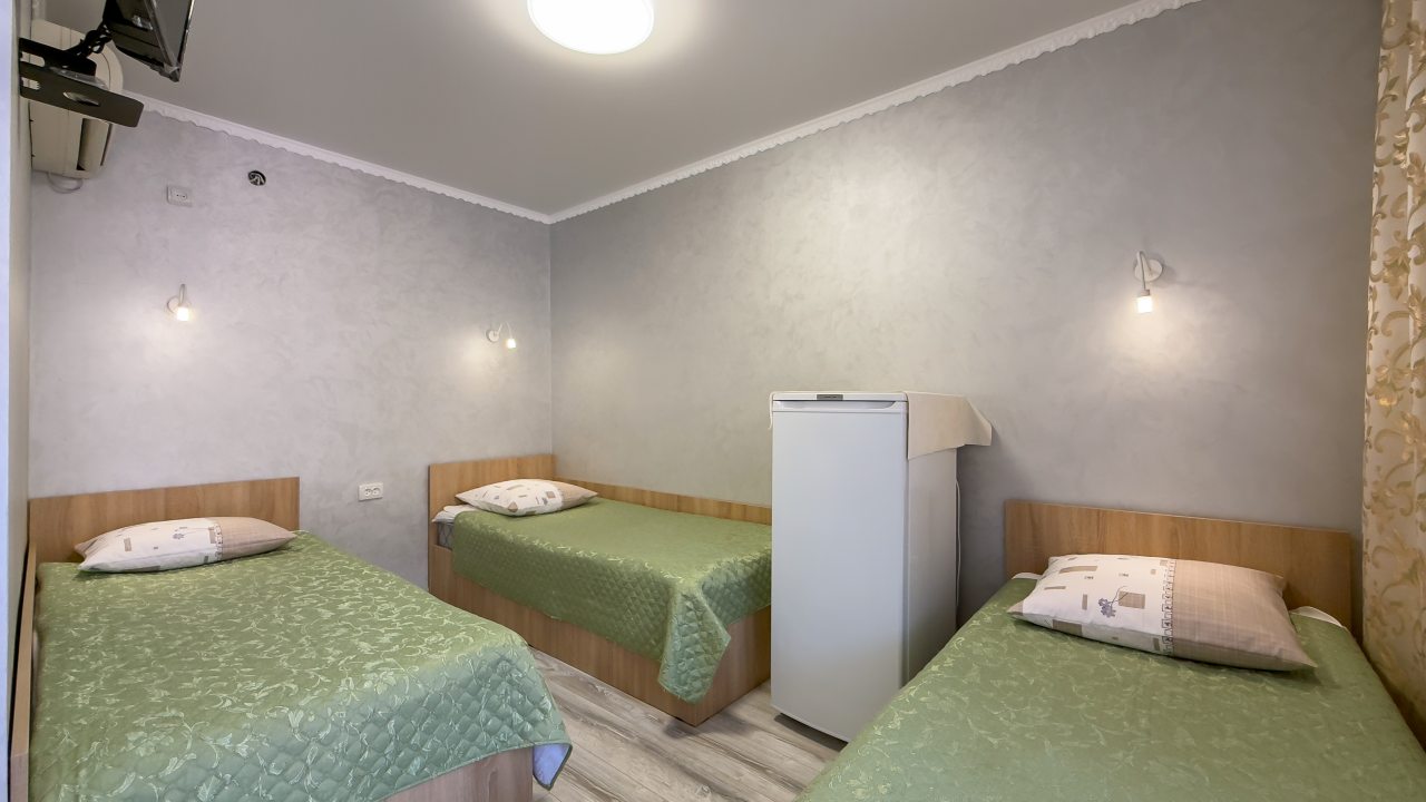 в номере: холодильник, телевизор, кондиционер, душ и туалет