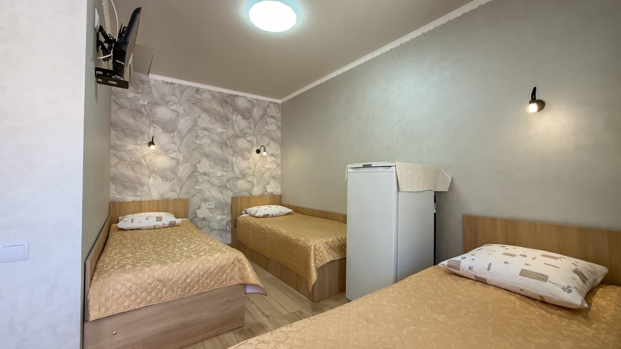 в номере: холодильник, телевизор, кондиционер, душ и туалет