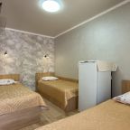 в номере: холодильник, телевизор, кондиционер, душ и туалет