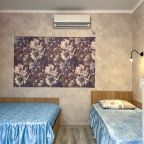 в номере: холодильник, телевизор, кондиционер, душ и туалет