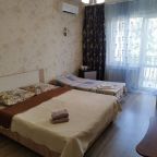 в номере: холодильник, телевизор, кондиционер, душ и туалет