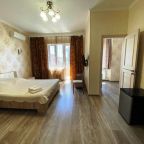 в номере: холодильник, телевизор, кондиционер, душ и туалет