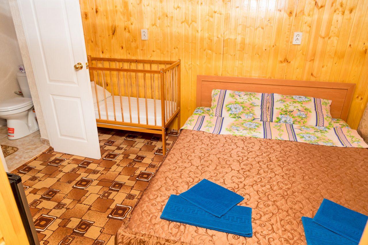 в номере: холодильник, телевизор, кондиционер, душ и туалет