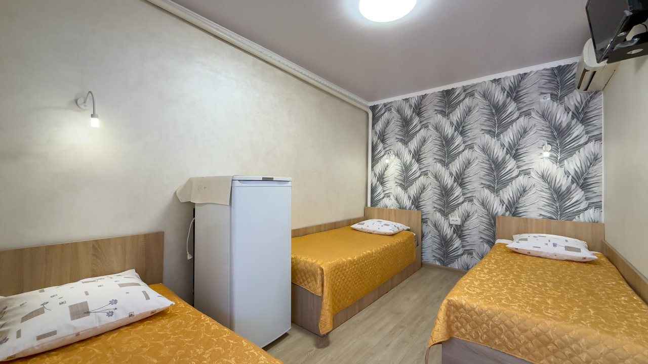 в номере: холодильник, телевизор, кондиционер, душ и туалет