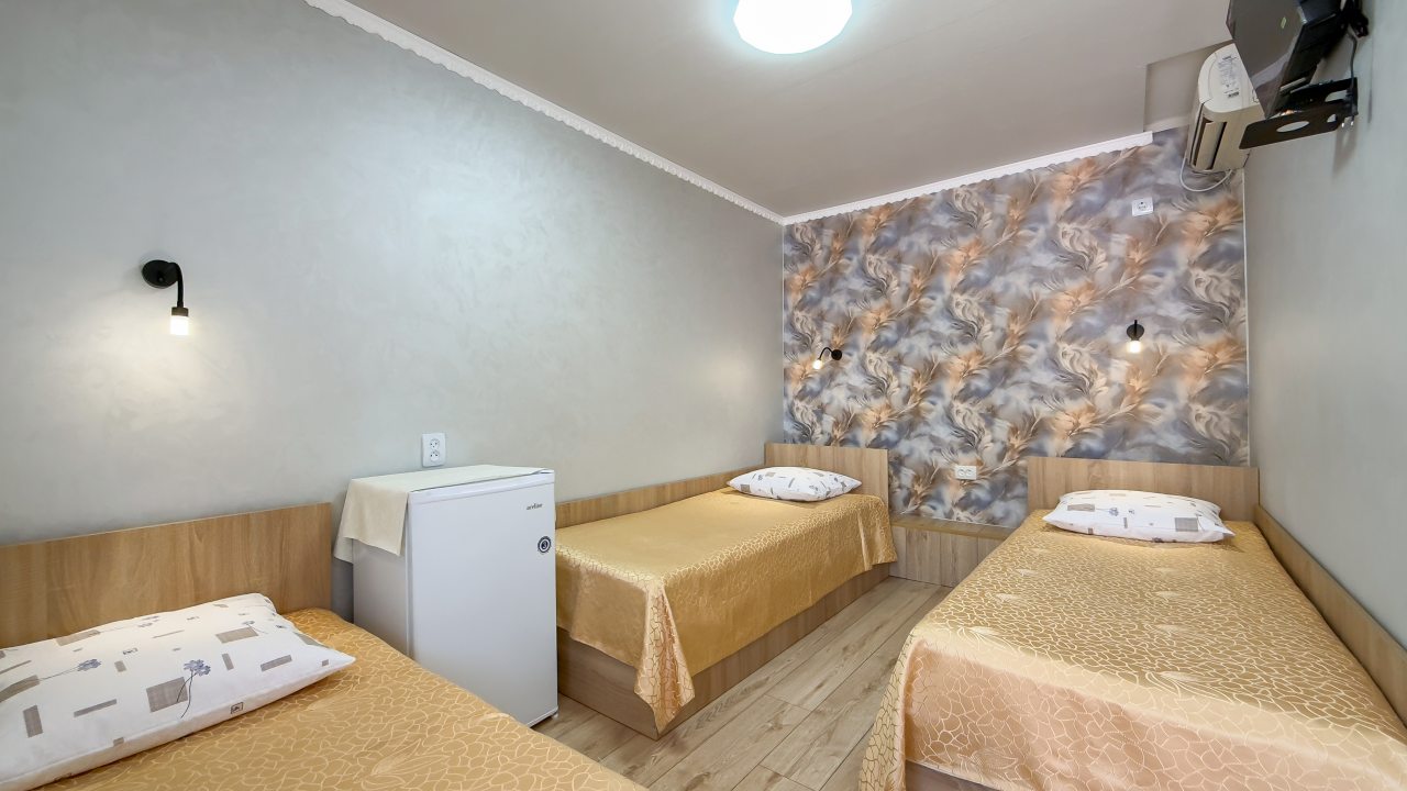 в номере: холодильник, телевизор, кондиционер, душ и туалет