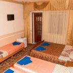 в номере: холодильник, телевизор, кондиционер, душ и туалет