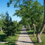 Пешие прогулки