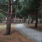 Пешие прогулки