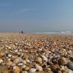 Галечный пляж