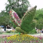 ухоженная территория