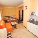 Апартаменты (Cтудия 3-х местная с балконом I корпус), Апартаменты ЖК Дом на Цветочной