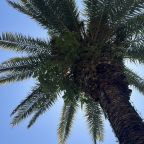 Апартаменты (Делюкс с двумя спальнями и двумя санузлами на 5 гостей), Гостевой дом Замок на Жемчужной