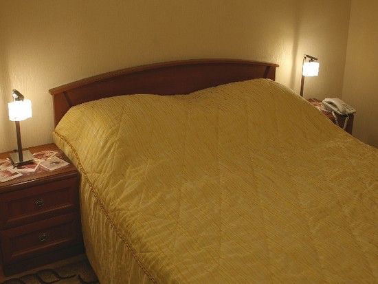 Фотография номера гостиницы Державная