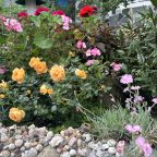 Сад, Отель Л'аморе