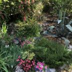 Сад, Отель Л'аморе