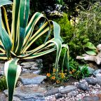 Терраса, Отель Л'аморе