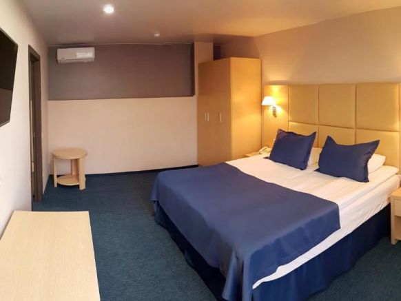 Фотография номера гостиницы Дельмонт