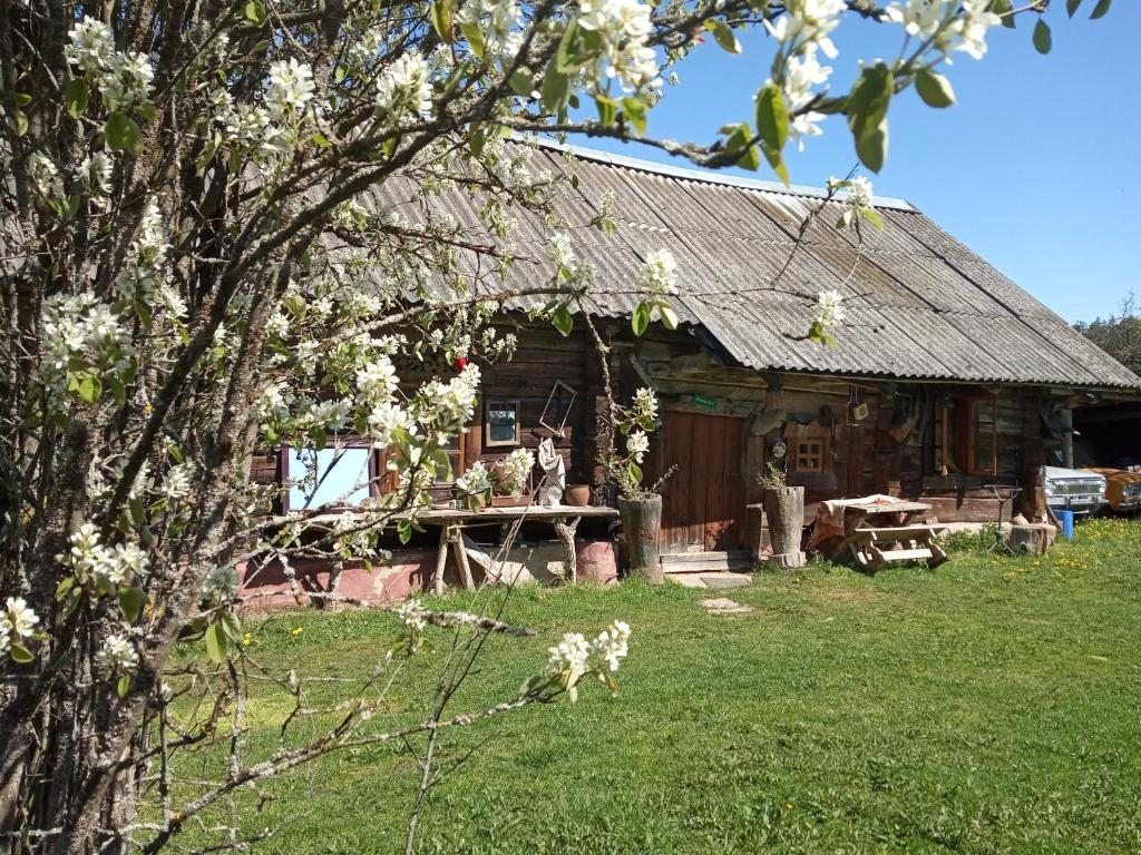 Номер (Дом для отпуска) комплекса Деревня-музей Забродье