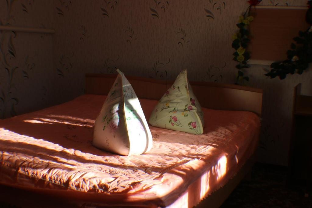 Двухместный (Двухместный номер с 1 кроватью и общей ванной комнатой) хостела Ilbirs, Каракол (Иссык-Кульская область)