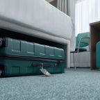 Одноместный (Классик), Отель Вега Измайлово