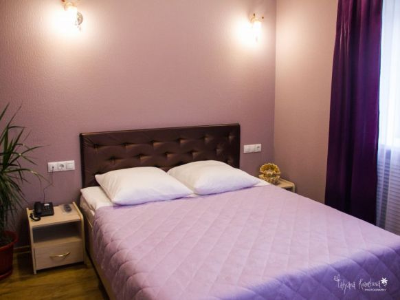 Фотография номера гостиницы Золотой Орел