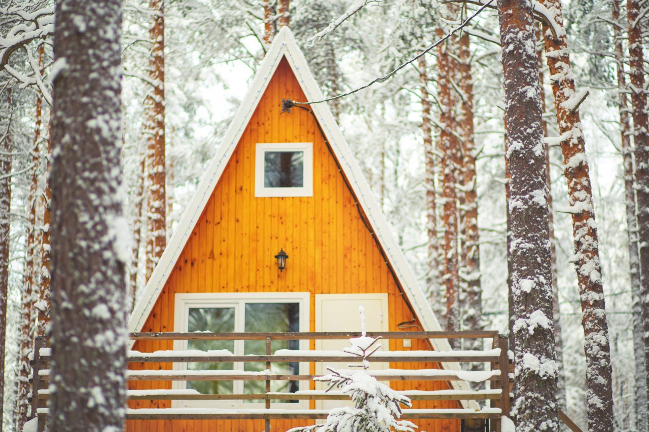 Дом (Коттедж с террасой на озеро и общей манагальной зоной), База отдыха GREENVALD Парк Скандинавия