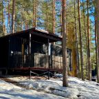 Дом (Эко-Дом на берегу озера с панорамным окном, эко-камином, крытой террасой и мангалом), База отдыха GREENVALD Парк Скандинавия