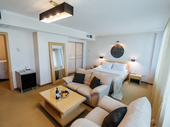 Фотография номера гостиницы Конгресс-отель Don-Plaza