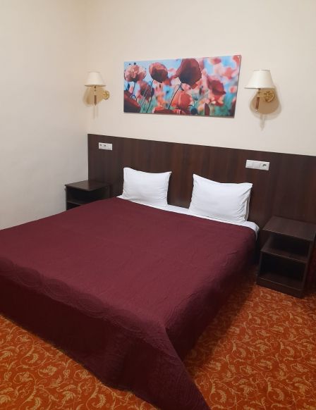 Фотография номера гостиницы Basis-M