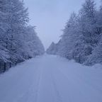 Номер (Дом с 2 спальнями), Дом для отпуска Светлый