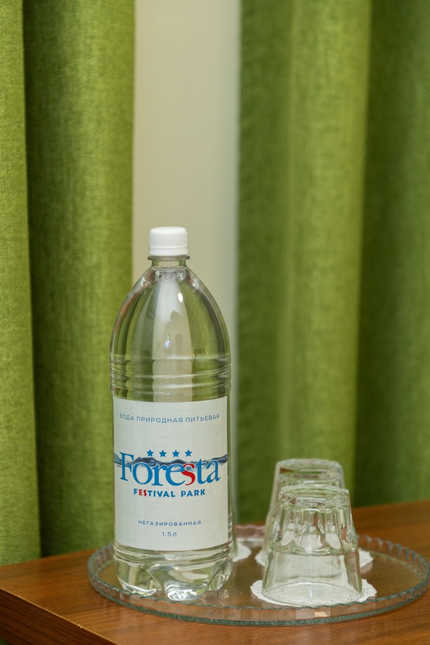 Двухместный (Стандарт с креслом кроватью), Гостиница Фореста Фестиваль Парк