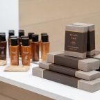 Двухместный (Стандарт с креслом кроватью), Гостиница Фореста Фестиваль Парк