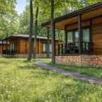 Коттедж (Одноэтажный коттедж), Гостиница Фореста Фестиваль Парк