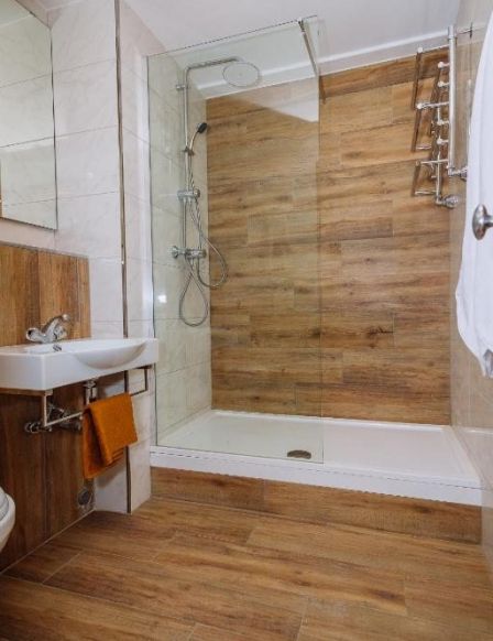 Фотография номера гостиницы Парк-Отель Маликон