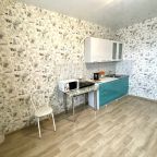 Апартаменты (Кв. 1-комн.  Хабаровская 70 №68), Гостиница Декабрист