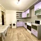 Апартаменты (2-х комн. квартира Бабушкина 32Б №37), Гостиница Декабрист