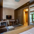 Двухместный (Стандартный номер с 1 кроватью (+)), Люмьер отель & spa