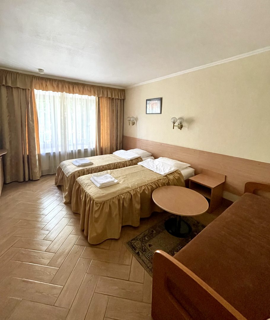 Двухместный (Стандартный номер с 2 отдельными кроватями) отеля Brauni, Санкт-Петербург