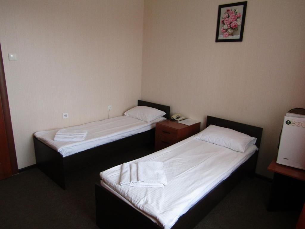 Двухместный (Бюджетный двухместный номер с 2 отдельными кроватями) отеля Энергия, Сызрань