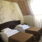 Двухместный (Стандартный двухместный номер с 1 кроватью или 2 отдельными кроватями), Гостиница Жемчужина