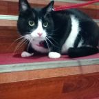 Размещение с животными  за доп. плату по согласованию