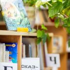 Библиотека, Санаторий Сосны