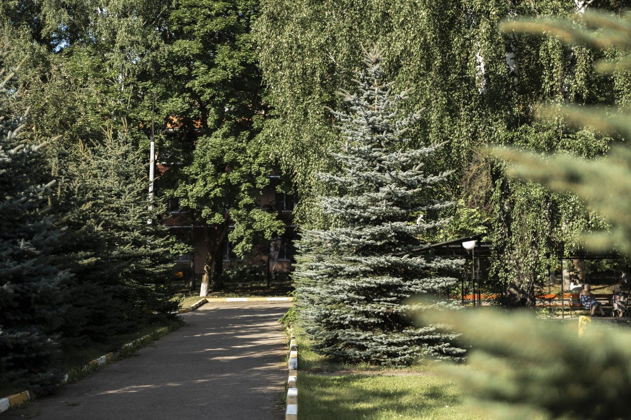 Тур в санаторий, Санаторий Сосны