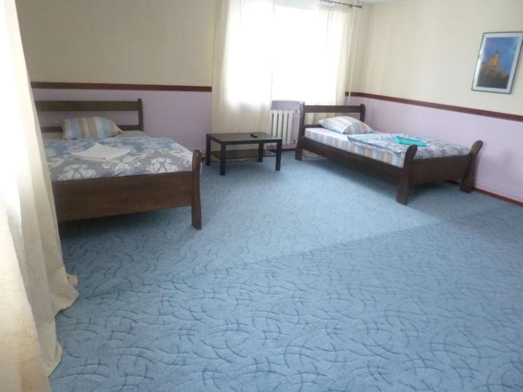 Двухместный (Эконом) гостиницы Аэро, Омск